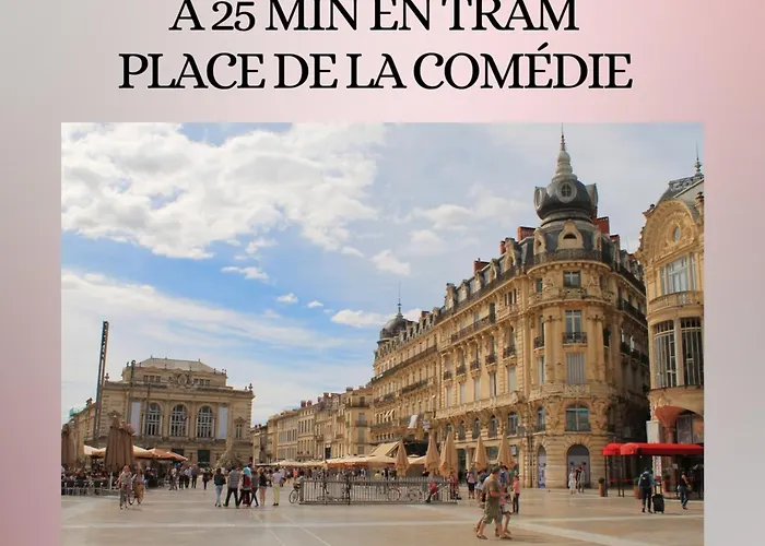 T2 Prestance Montpellier Proche Plage Parking